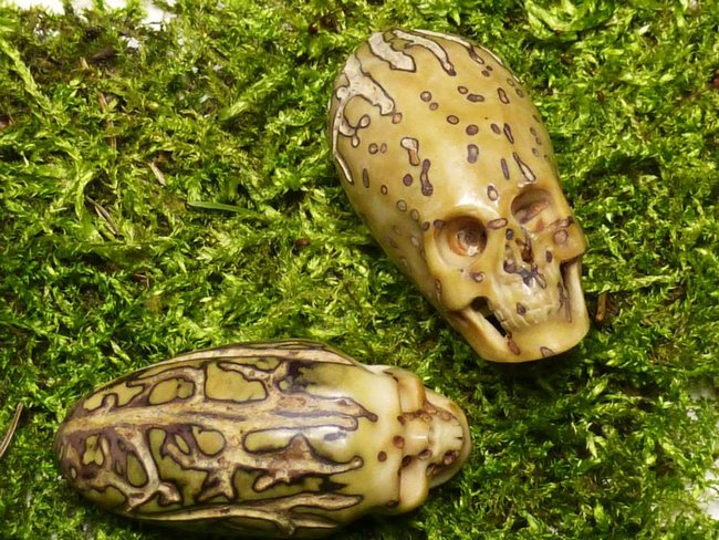 Rudraksha1.jpg (142.4 KiB) 18417 mal betrachtet Rudraksha1.jpg