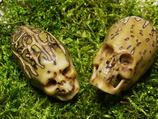 Rudraksha2.jpg (113.35 KiB) 18414 mal betrachtet Rudraksha2.jpg