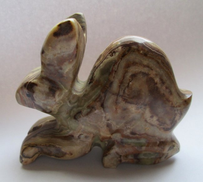 zoo-hase01.jpg