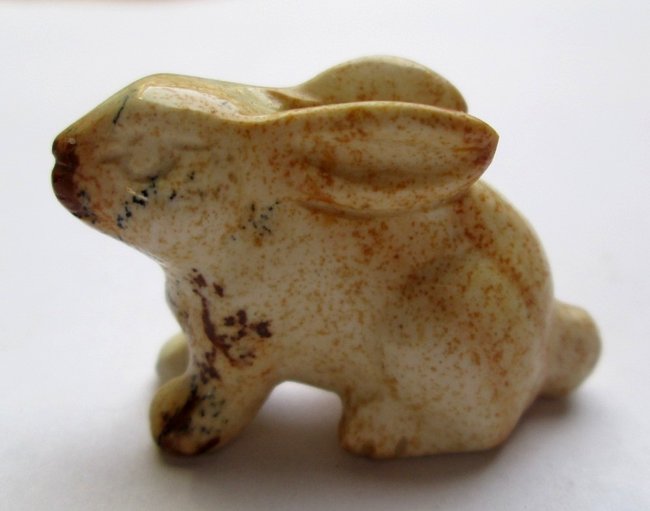 zoo-hase02.jpg