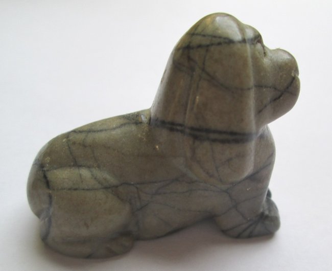 zoo-hund01.jpg