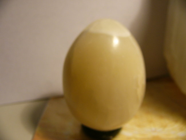 P1310277.JPG