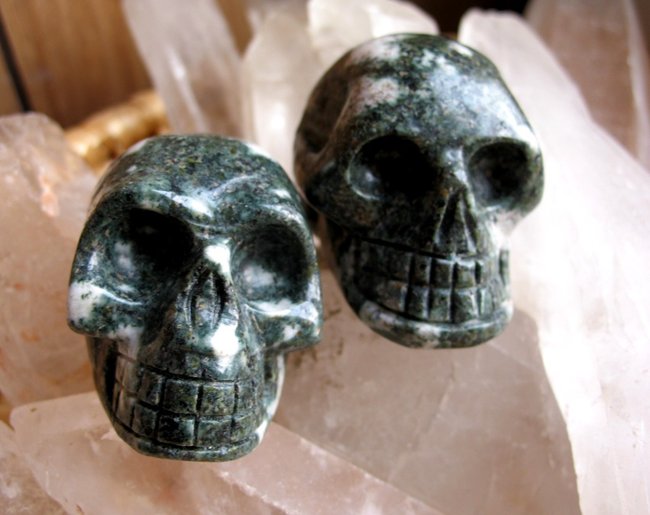 Skull 2Preseli.JPG
