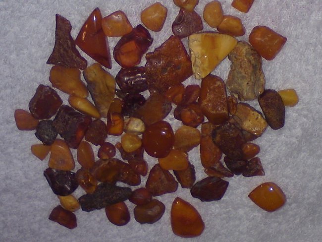 Bernsteine