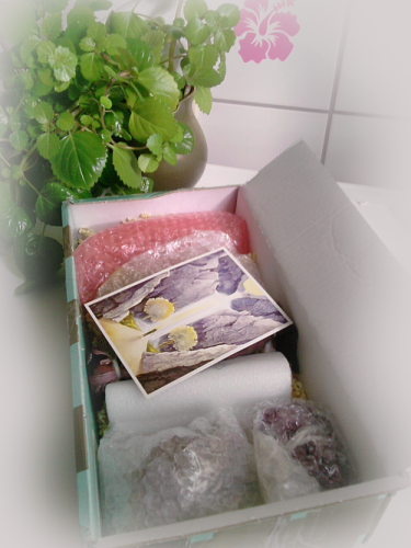 tanjaspaket001.png