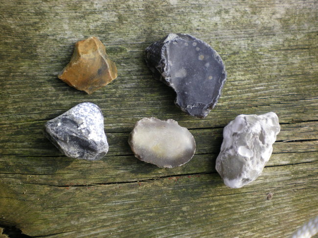 Flintsammlung Travemünde Mrz 14.JPG