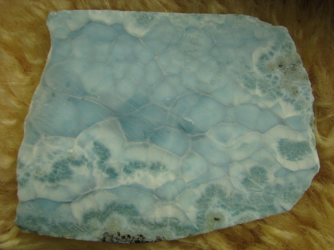 9 x 6,5 cm
