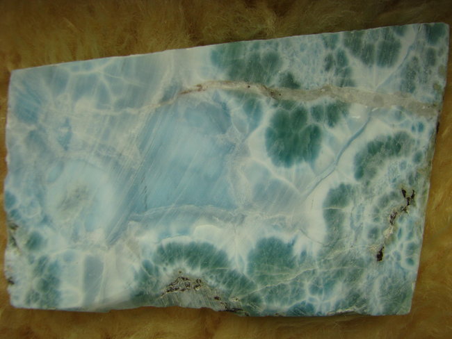 9,5 x 7 cm