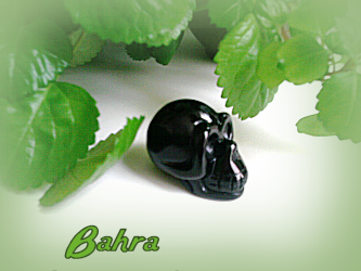 bahra003.png