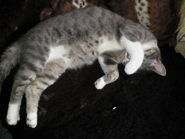 SANY0004.jpg