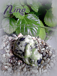 ning001.png