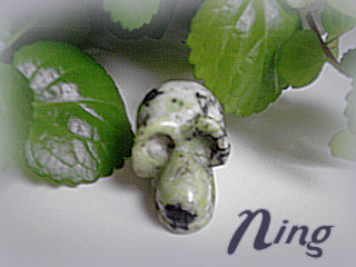 ning002.png