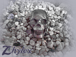 zhylex002.png