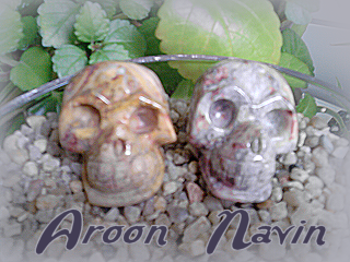 aroon-navin001.png