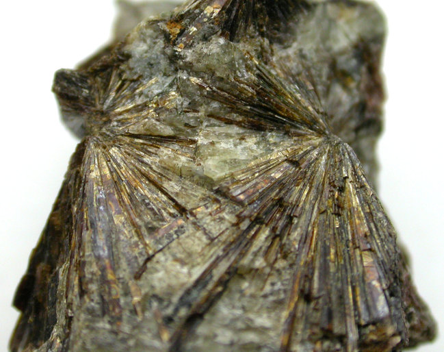 Stein 3