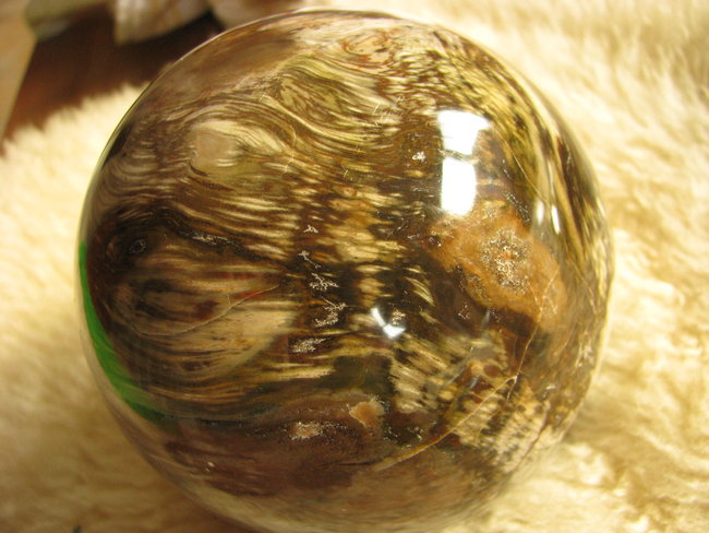 Kugel versteinertes Holz