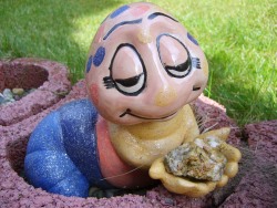 Forum schnecke.jpg