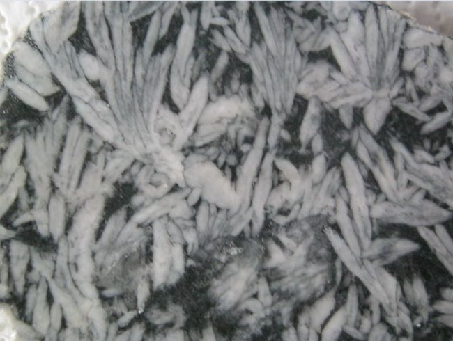 sutr 03.JPG