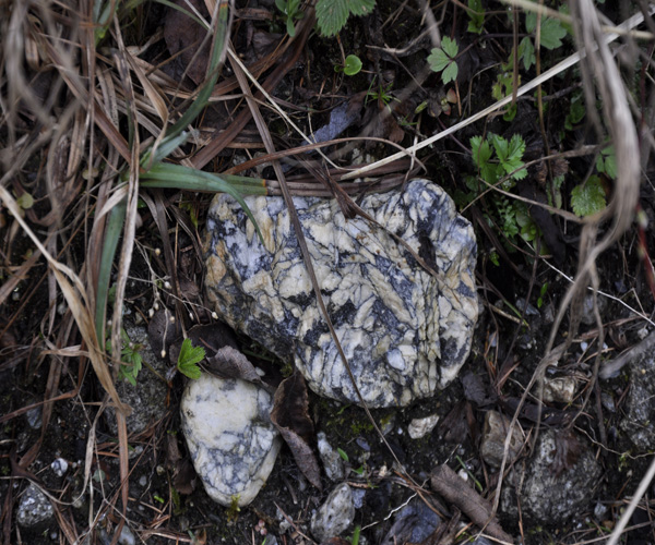 Pinolith1.JPG