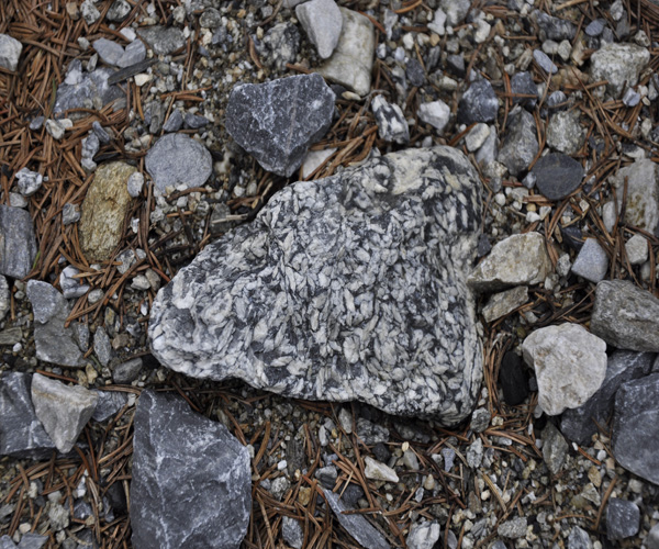 Pinolith3.JPG