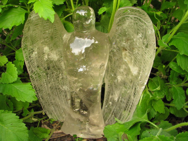 Engel