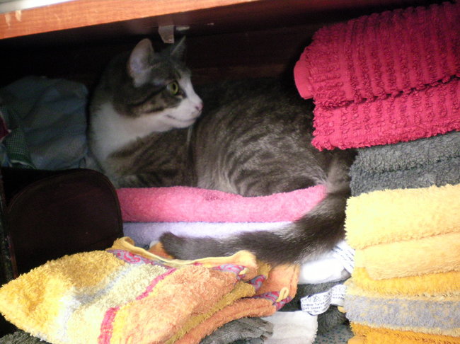 ganz hinten im Schrank4 Mai 14.jpg