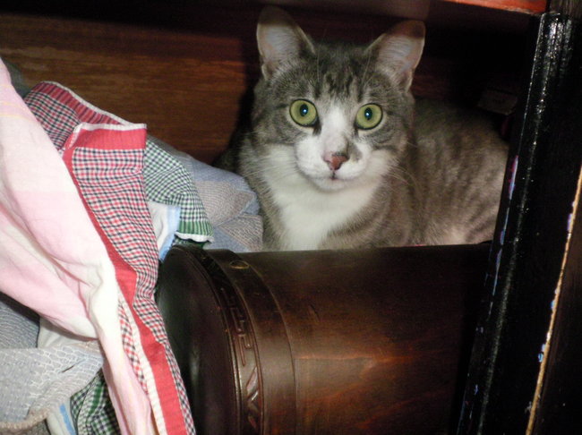ganz hinten im Schrank 5 Mai 14.jpg