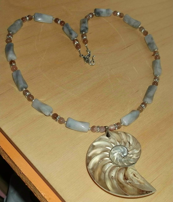 Nautilus_v.jpg