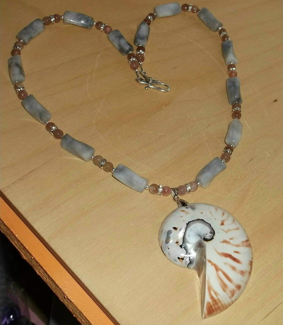 Nautilus_h.jpg