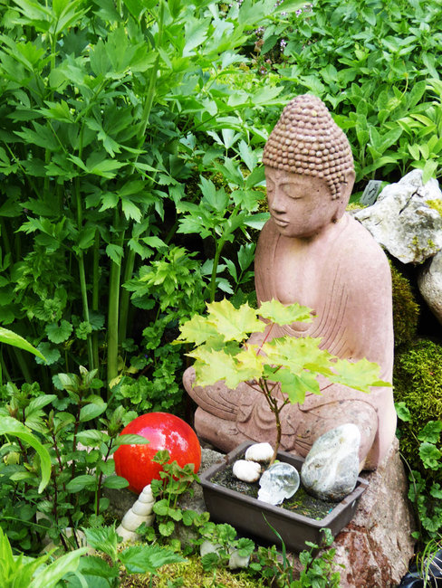 P1080713a.jpg