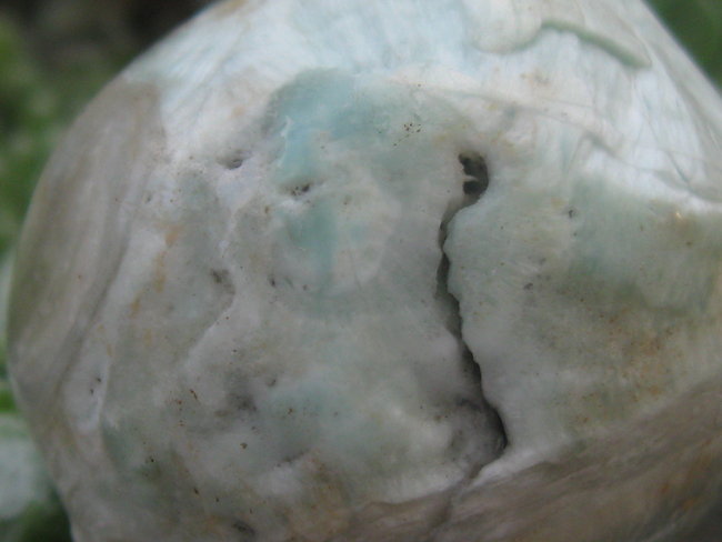 skull hemimorfiet (4).jpg