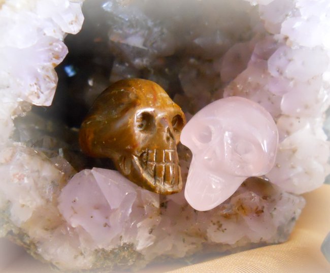 Babyskull31.JPG