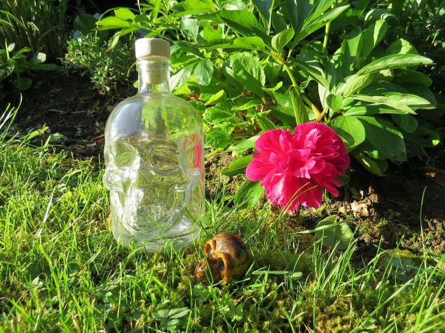 skullflasche
