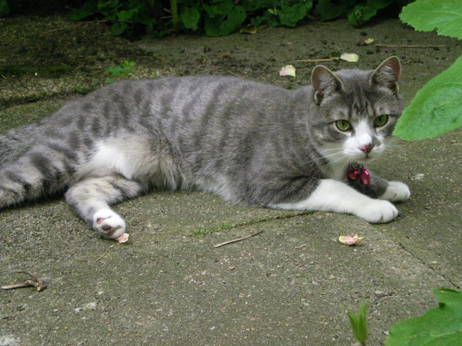 SANY0013.JPG