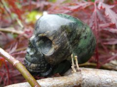 Skulli