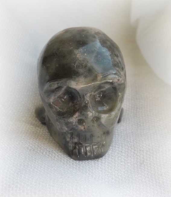 skull_noname04.JPG