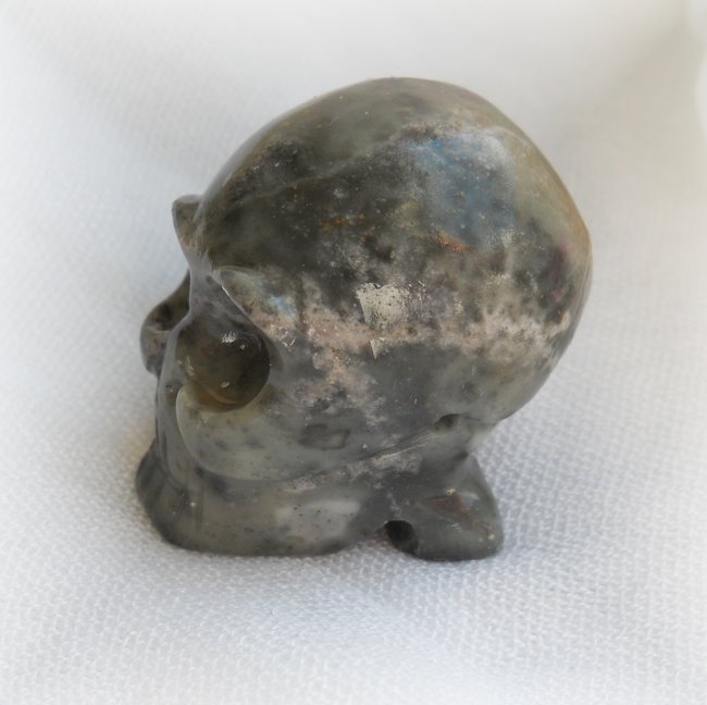 skull_noname05.JPG
