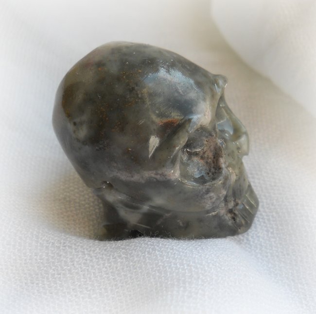 skull_noname06.JPG