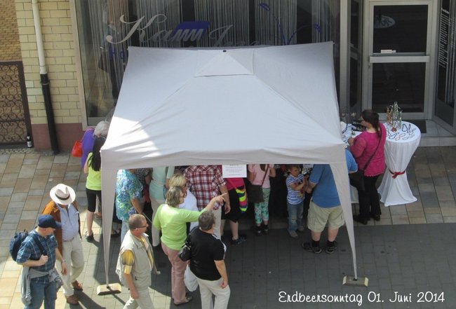 erdbeersonntag 01.06.2014-26.jpg
