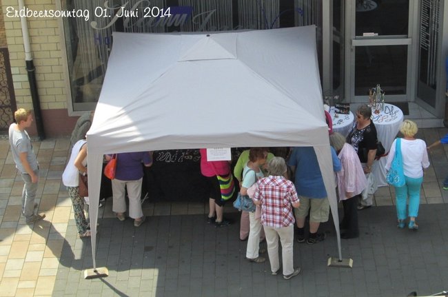 erdbeersonntag 01.06.2014-28.jpg