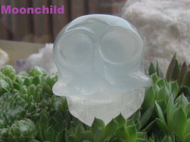 Moonchild