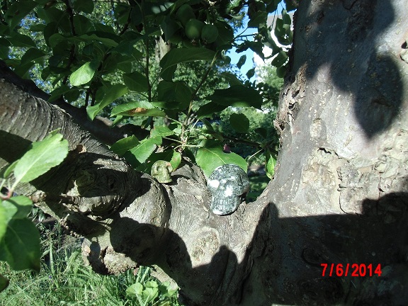 Leo mit Eya im Apfelbaum