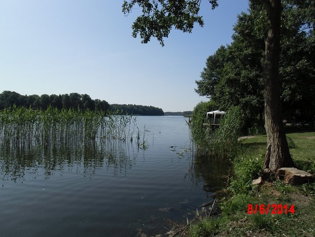 DSCI0805neu.jpg