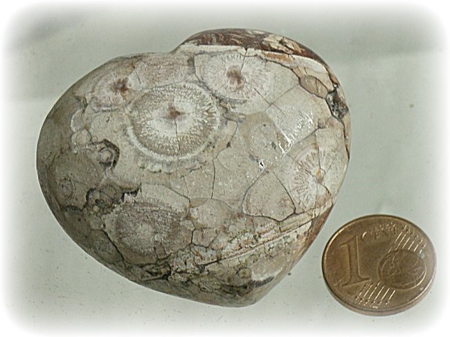 Fischaugen - Jaspis  Herz 1 Mexico.jpg