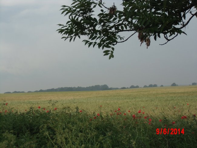 DSCI0810neu.jpg