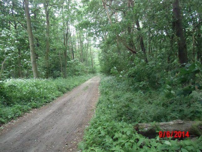 DSCI0813neu.jpg