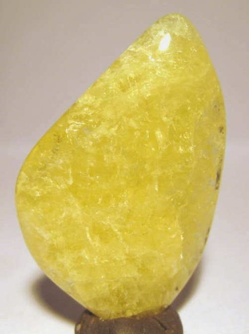 DanbuGelb.JPG
