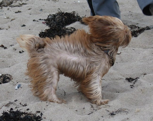 Felina 13Jun (3).JPG