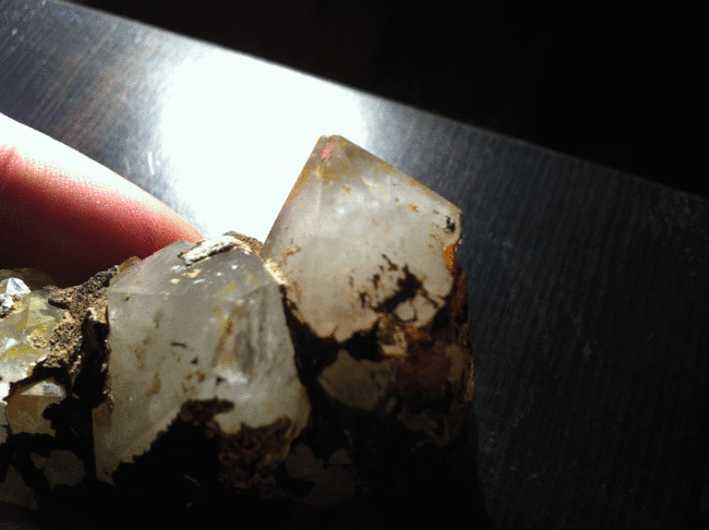 IMG_0866.gif
