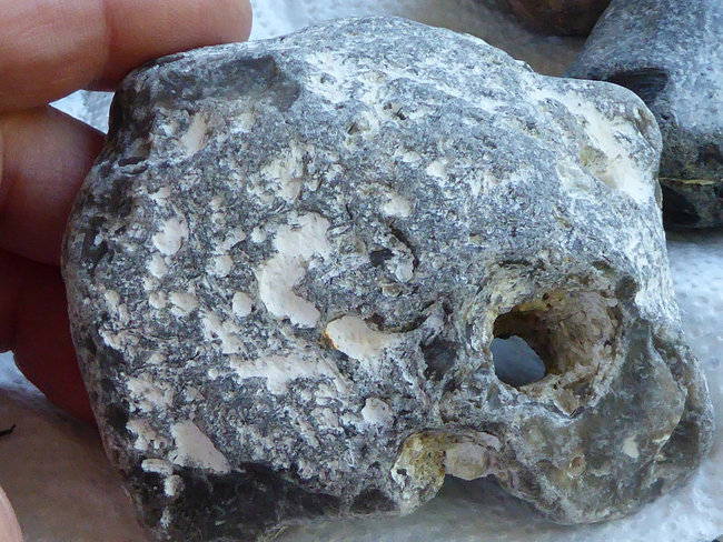 P1120971a.jpg